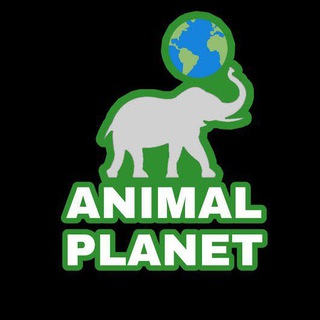 Animal Planet