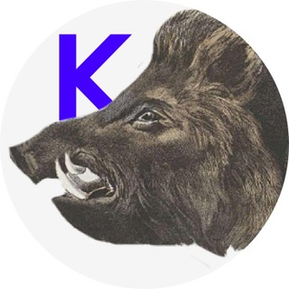 метнулся кабанчиком