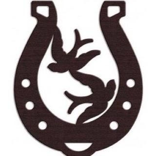 Накшатра джйештха