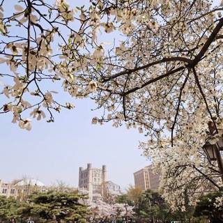 South Korea. Turnouts, passwords.