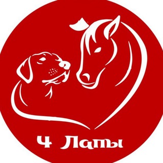 приют четыре лапы