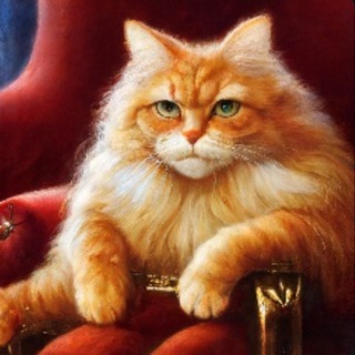H.P. cat