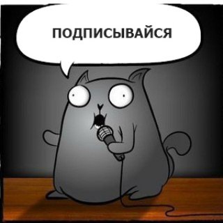 стендап кот мем