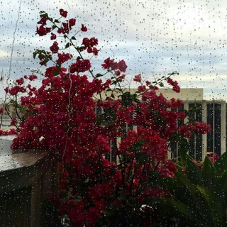 творите ценность - создавая дефицит