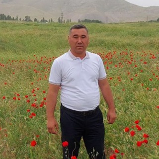 узбек шерлари