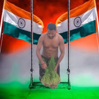 afmsd delhi cantt
