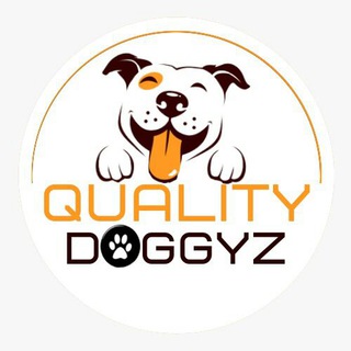 american bully pocket size price in punjab