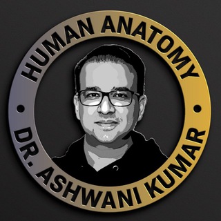 ashwani kumar anatomy