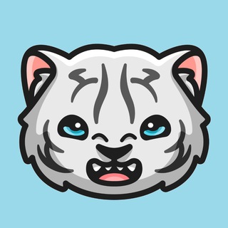 baby white tiger