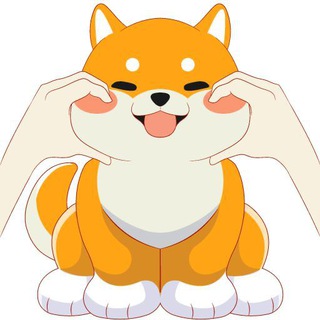 babyshiba inu
