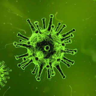 About vaccinations without tantrums (Elena Savinova)