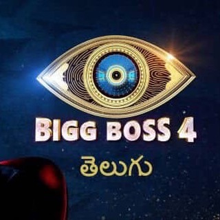 biggbossteluguvoteonline.in