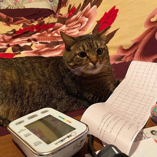 Ecg electrocardiography / ECG electrocardiography