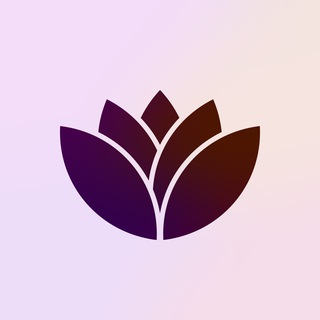 bliss os x86