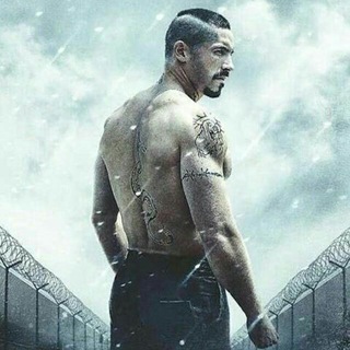 Boyka undisputed 1
