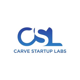 carve startup labs