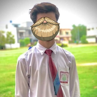 cashmonk app download