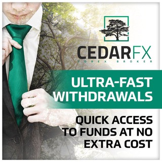 cedarfx