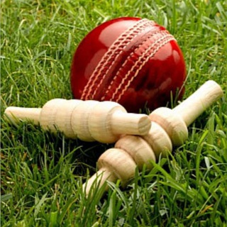 cricket bazzigar