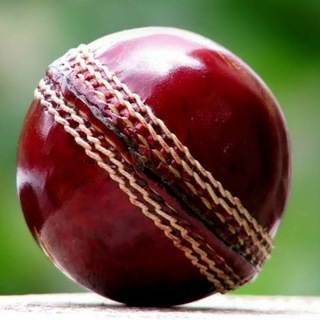 Cricket fix report telegram channel