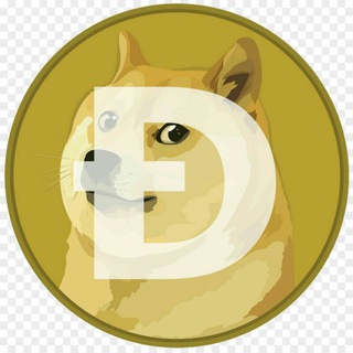 doge explorer