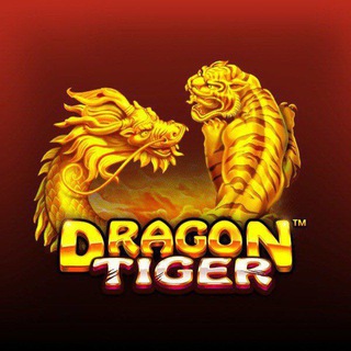 dragon tiger prediction