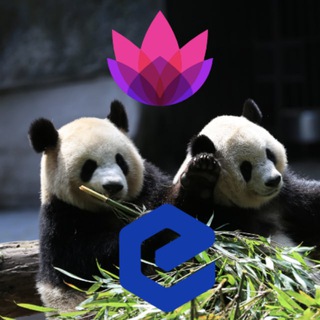 ecash news today