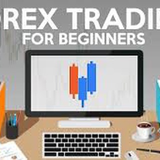 forex winner