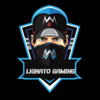 gyan gaming income
