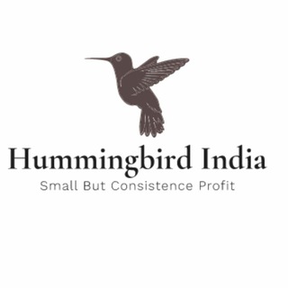 hummingbird in india