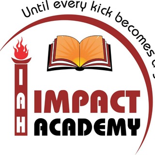 impact academy hisar