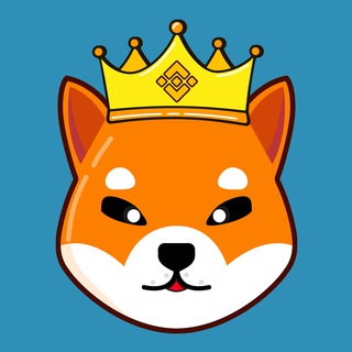king shiba inu
