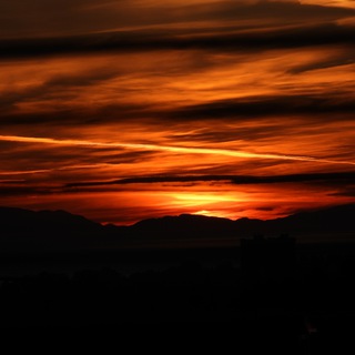 milestone college canada