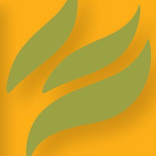 mint press news