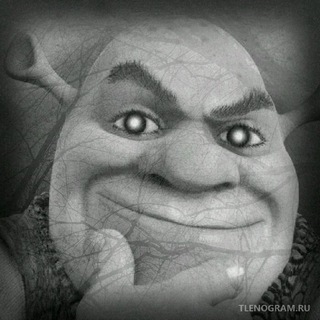 this is the fuckin news