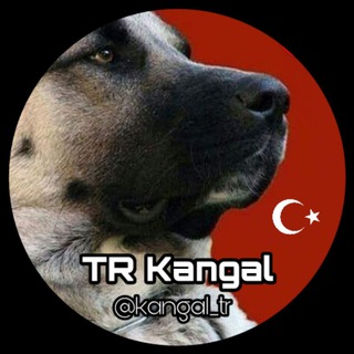 Tr kangal