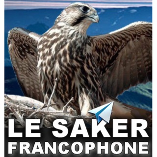 Le Saker Francophone