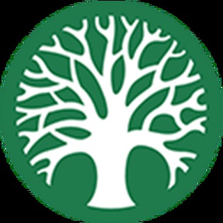 ArtFinity - artfinity