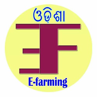 E-farming Lovers❤️