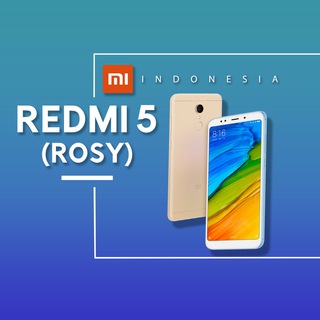 REDMI 5 | ROSY ??