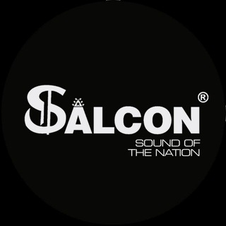 Salcon Electronics
