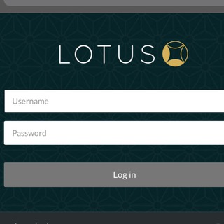 lotusbook247.io