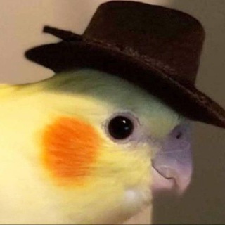? ??? ???????? ?