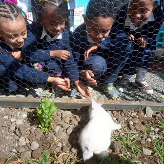 Ergib School, Head office