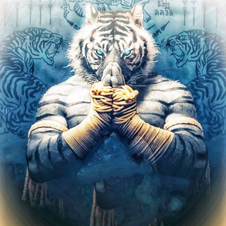 Crypto White Tiger Discussion