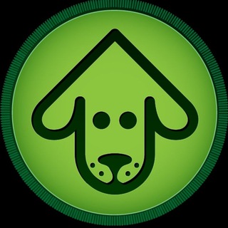 $UPDOG | The Dawg Park