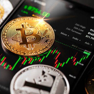 BerylStock.coin?Bitcoin Trading Platform ? - Telegram Channel