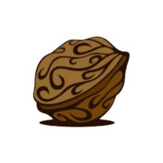 WALNUT FINANCE
