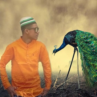 TECHNICAL KAISAR????