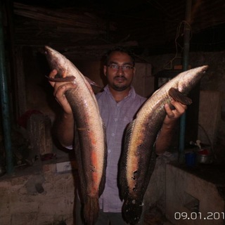 Fishing & Fish Farming